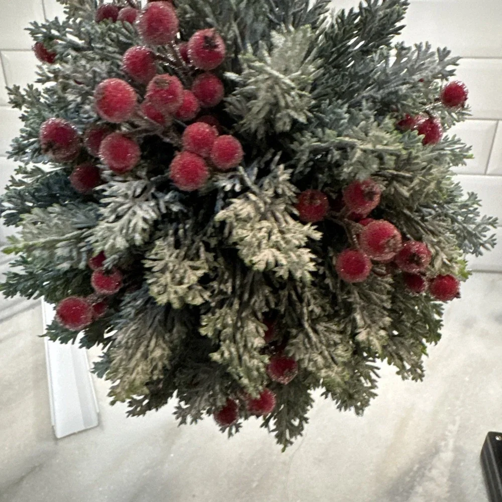 Martha Stewart HANGING TOPIARY KISSING PLANT BALL Winter Fern PIP Berries 8